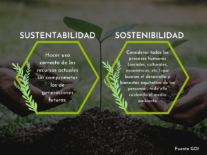 Sustentabilidad vs Sostenibilidad